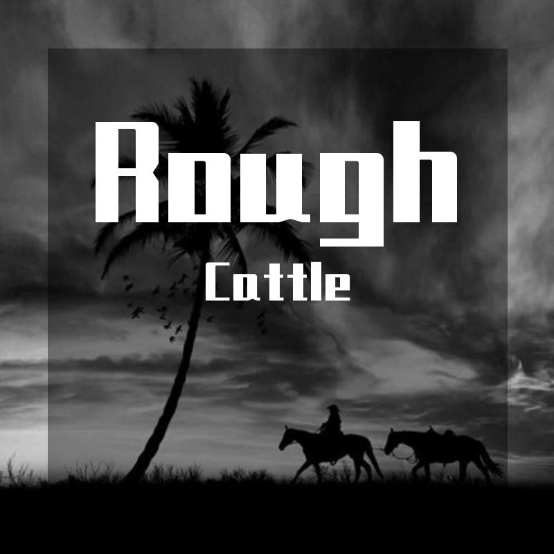 大张伟-阳光彩虹小白马（Cattle remix）