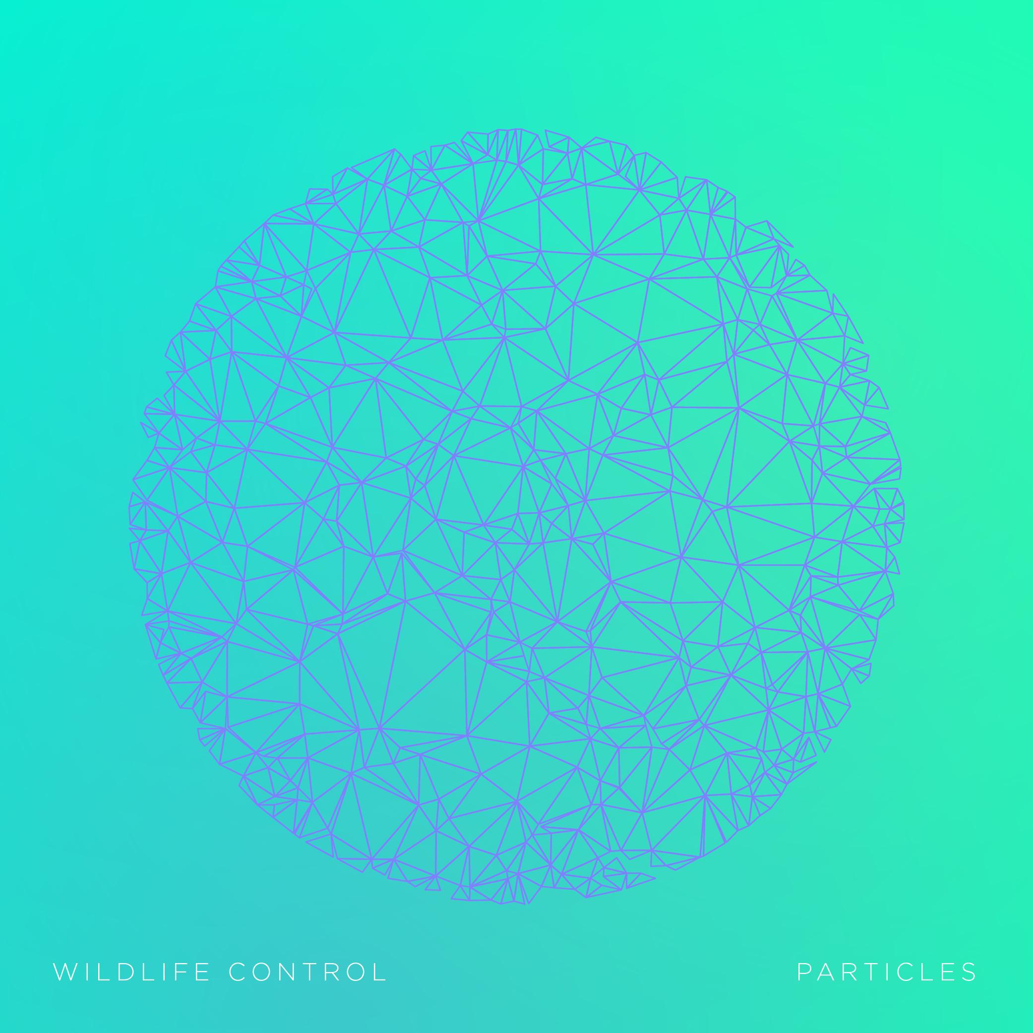 Particles