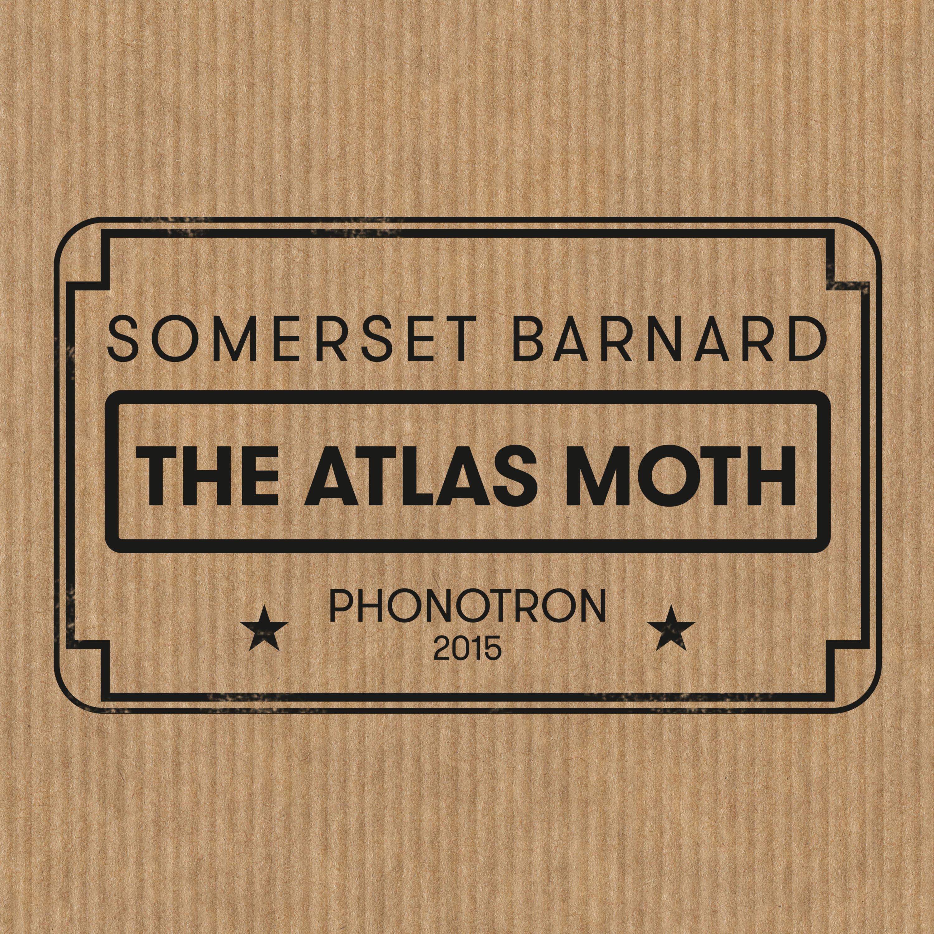 The Atlas Moth
