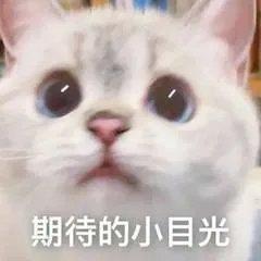 斯尔教育CPA直播课间歌曲