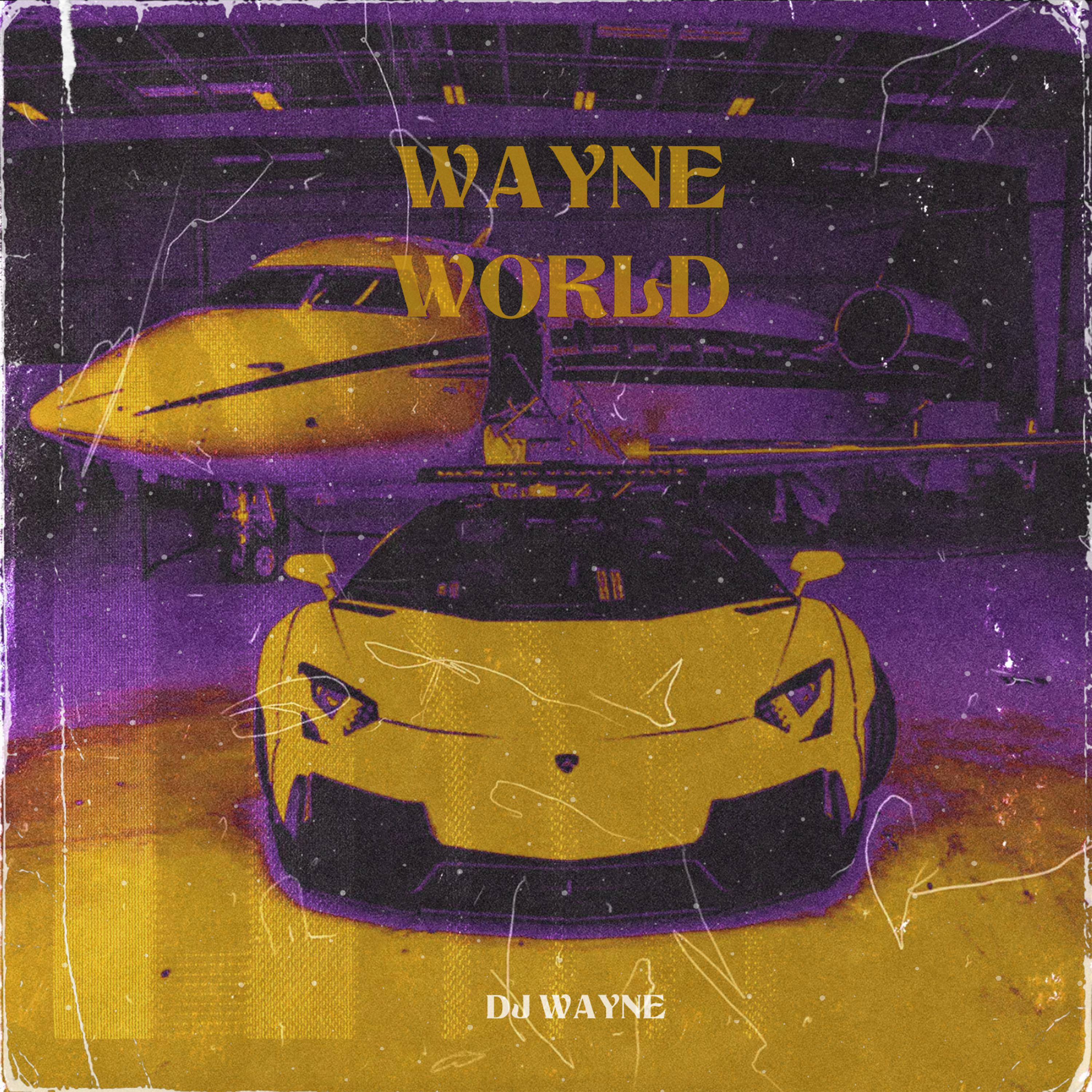 Dj Wayne - Future