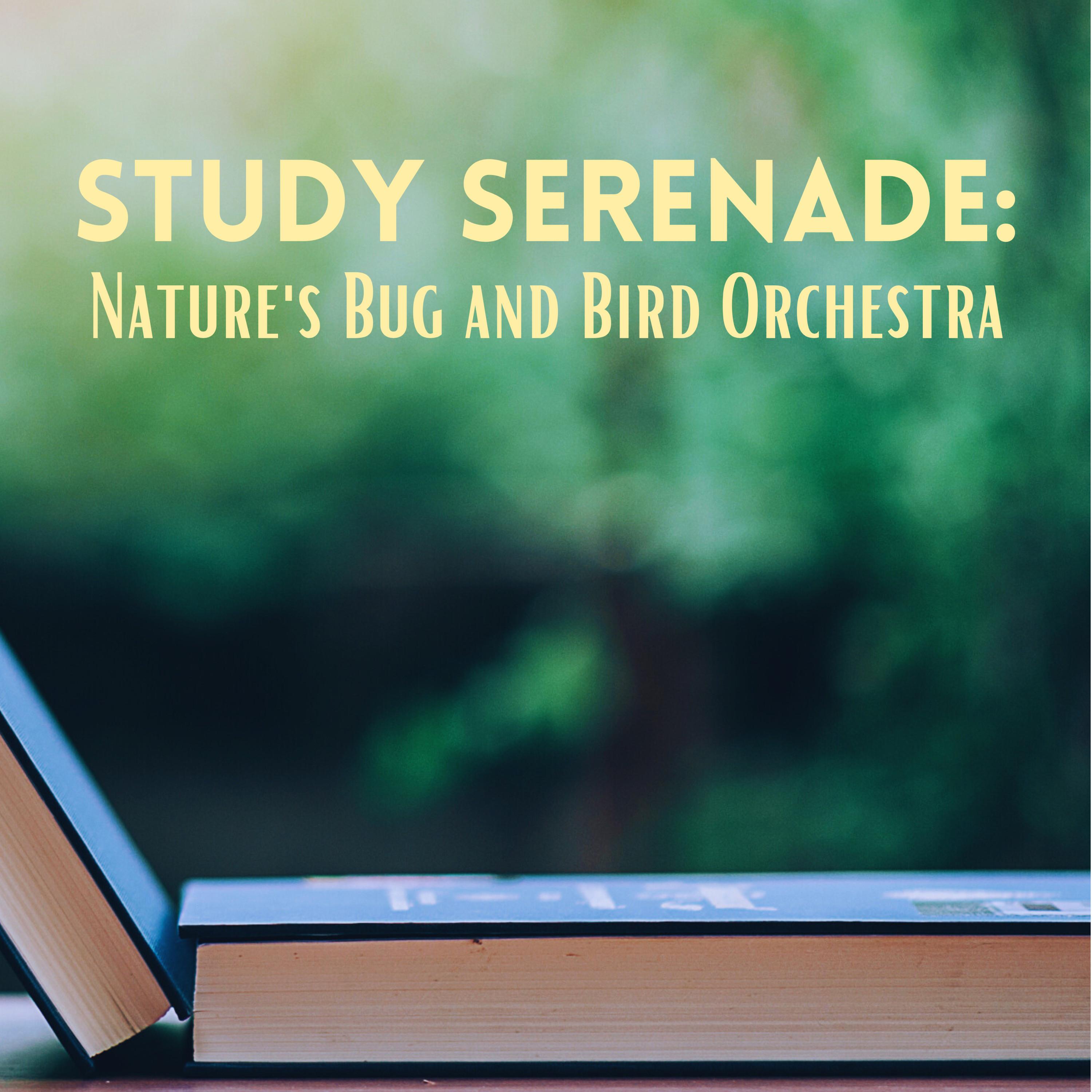 Nature Therapy - Bugs and Books: A Studious Sonata