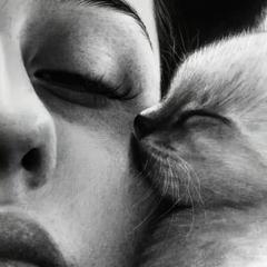 Stay With Me
