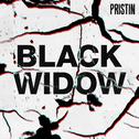 Black Widow (Remix Ver.)专辑
