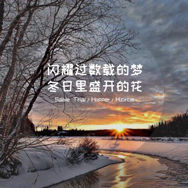 闪耀过数载的梦 冬日里盛开的花