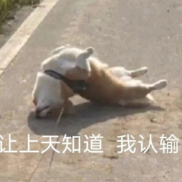 八下古文救命歌单