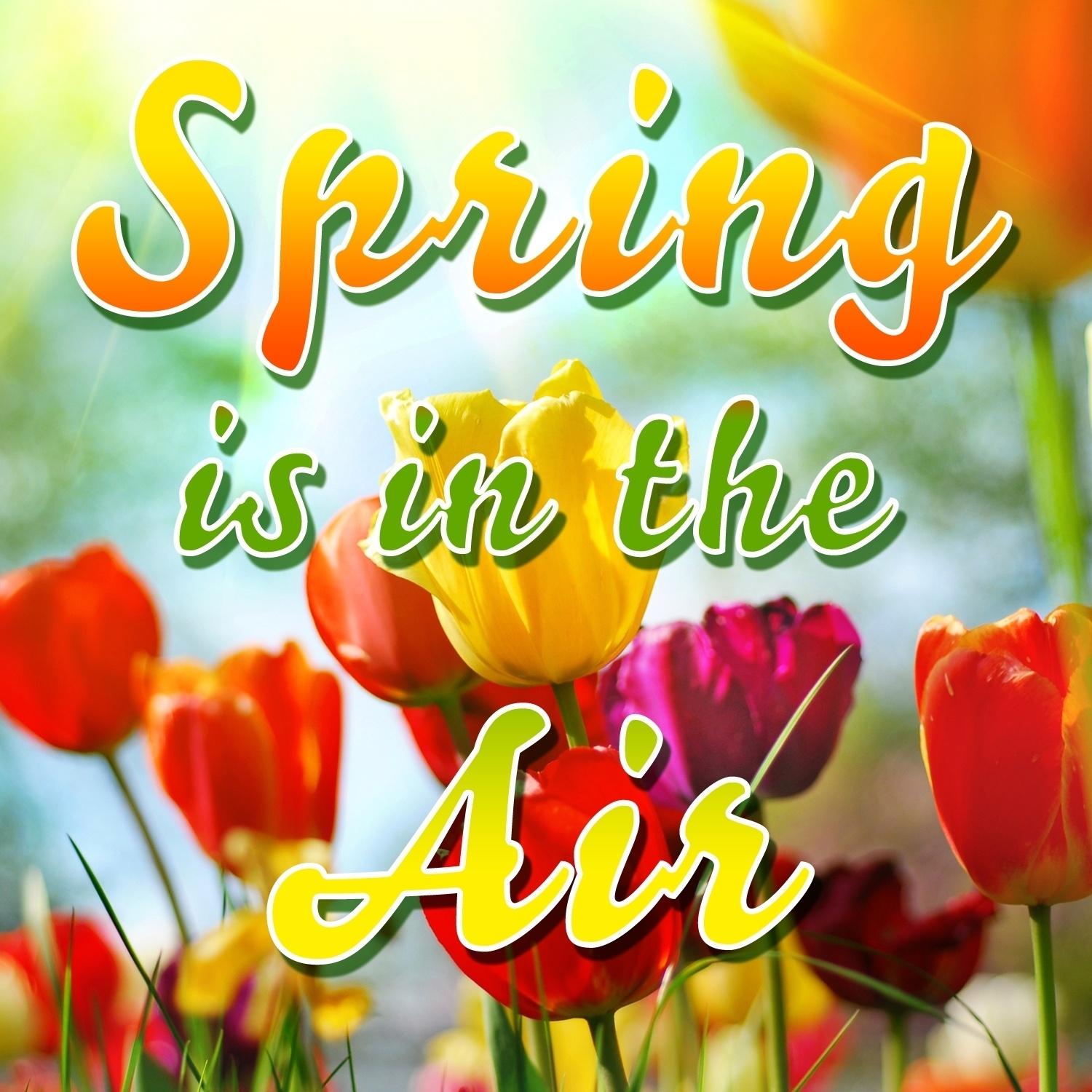 cherrypinkandappleblossomwhite