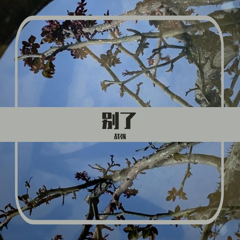 别了