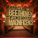 Ludwig Van Beethoven: Orchestral Magnificence专辑
