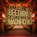 Ludwig Van Beethoven: Orchestral Magnificence专辑