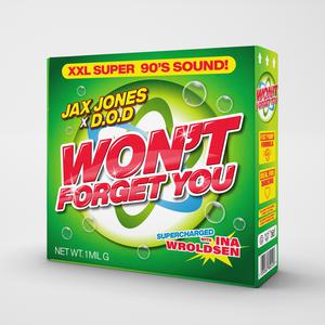 Jax Jones with D.O.D. & Ina Wroldsen - Won't Forget You (PT karaoke) 带和声伴奏 （升5半音）