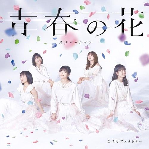 青春の花/スタートライン