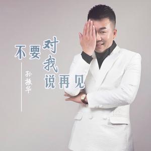 孙振华 - 不要对我说再见 (KTV版伴奏) （升1半音）