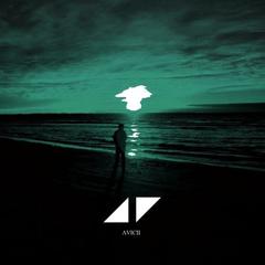 Avicii,Martin Garrix《Waiting For Love吉他谱》_完美的音乐细节