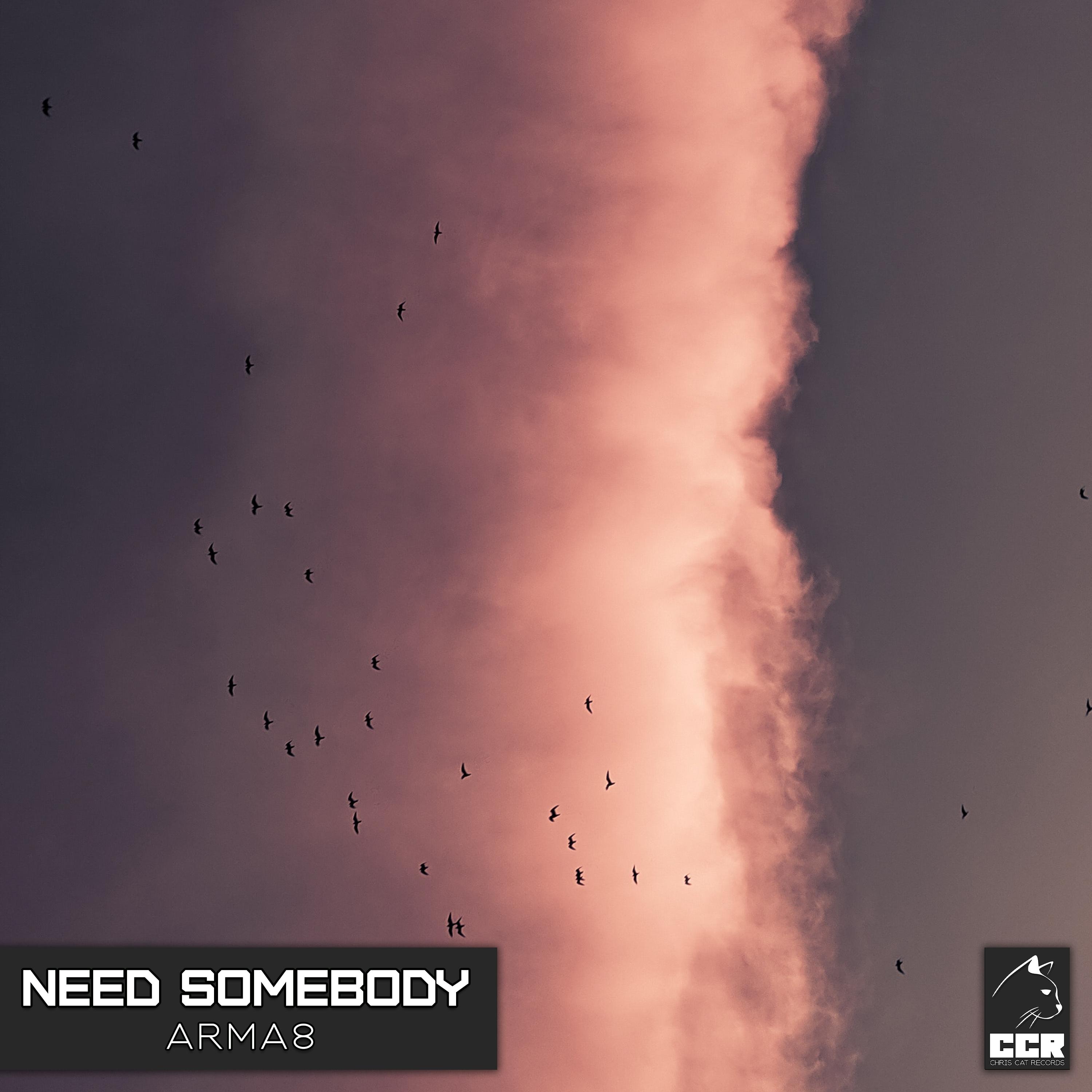 Need Somebody