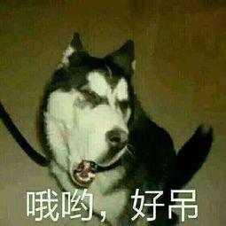 潮流车载中文外网dj大全录 | 在线播放 | 网易云音乐