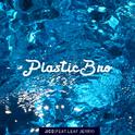 PlasticBro（塑料兄弟）专辑