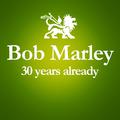 1981 - 2011 : 30 Years Already... (Anniversary Album Celebrating The 30 Years Since Bob Marley's Dea