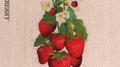 STRAWBERRY专辑
