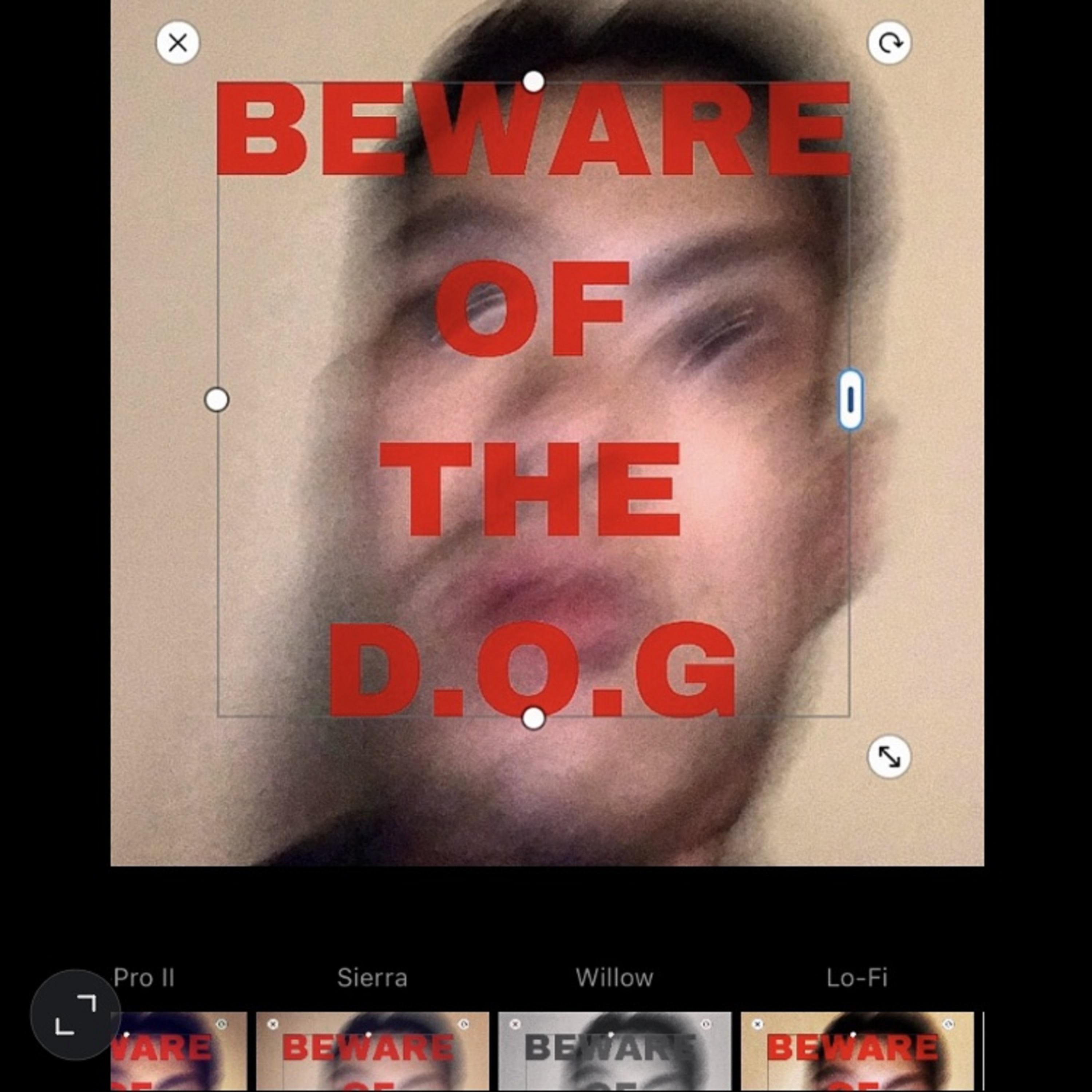 BEWARE OF THE D.O.G