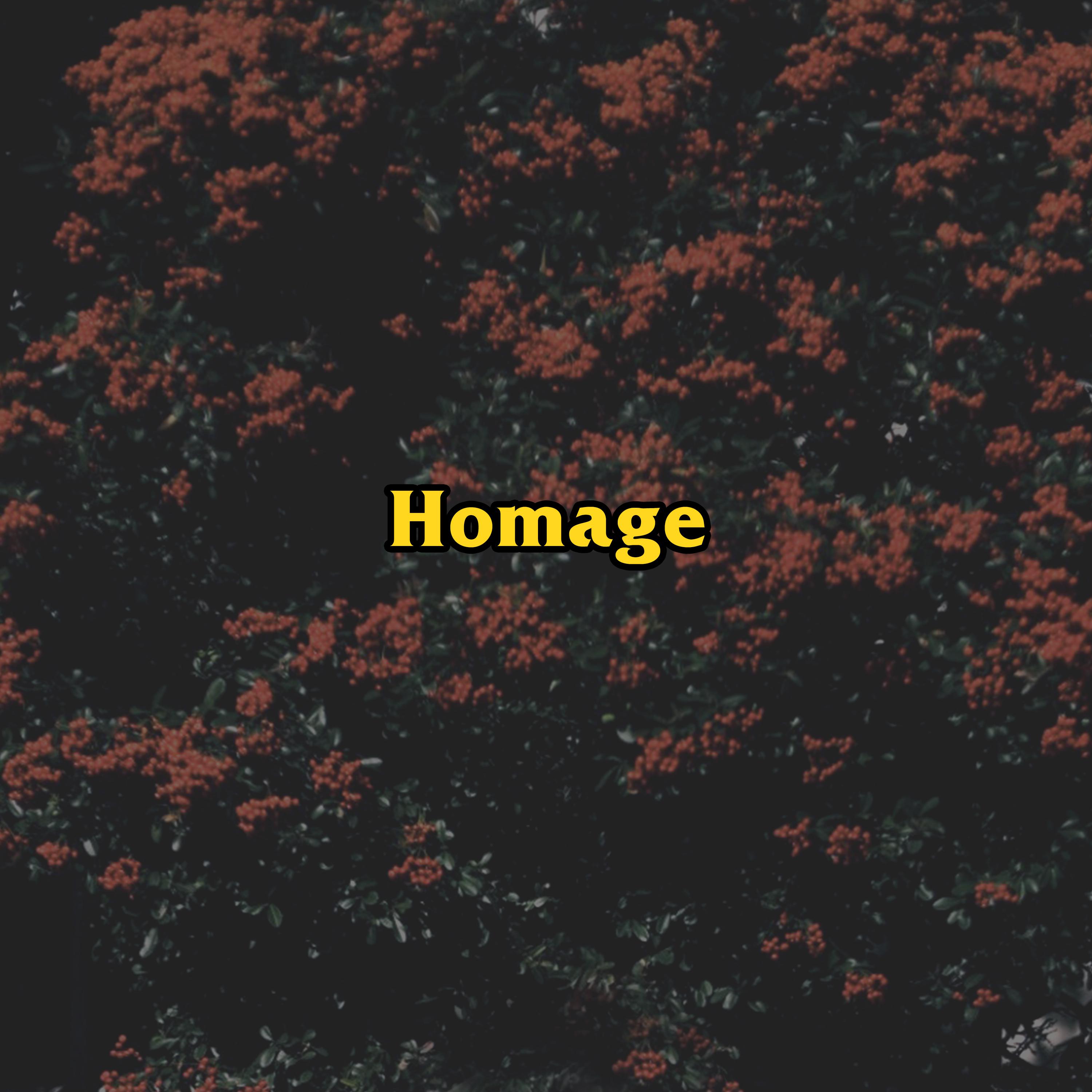 Homage专辑