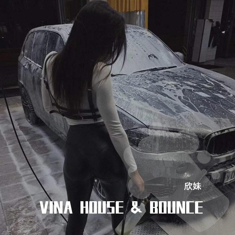 VINA HOUSE & BOUNCE专辑