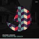 You Drive Me Crazy专辑