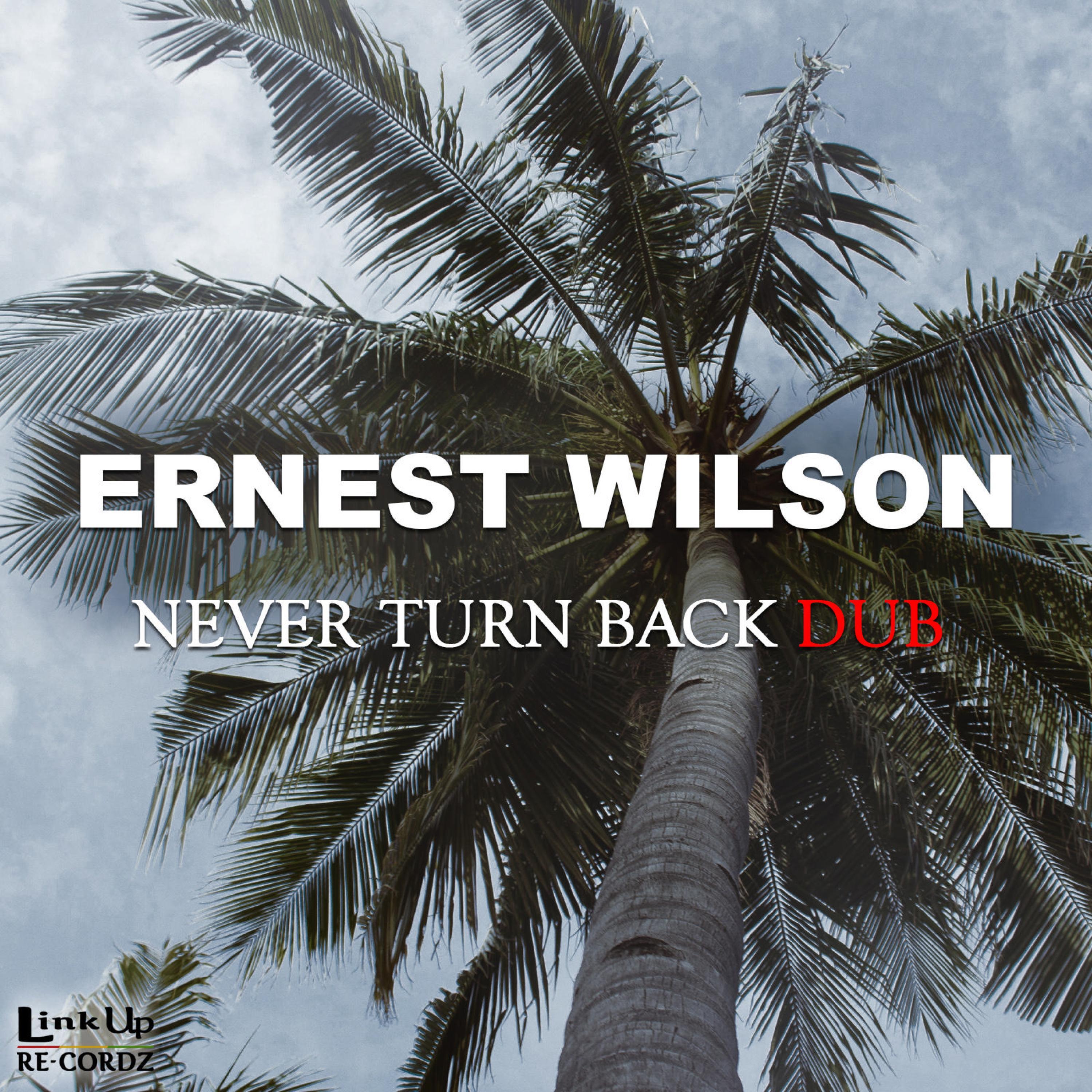 Never Turn Back Dub (Dub)