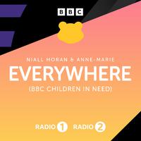Niall Horan & Anne-Marie - Everywhere (Z karaoke) 带和声伴奏
