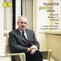 Schumann: Fantasy in C; Arabesque / Liszt: Sonata in B minor; La lugubre gondola (CD 8)专辑