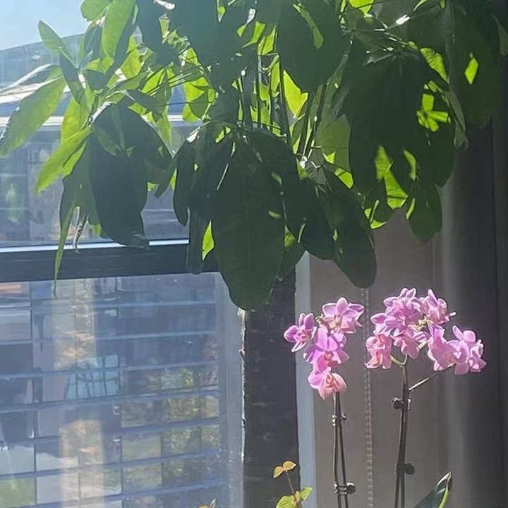 如果爱忘了