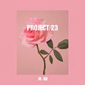 project 23