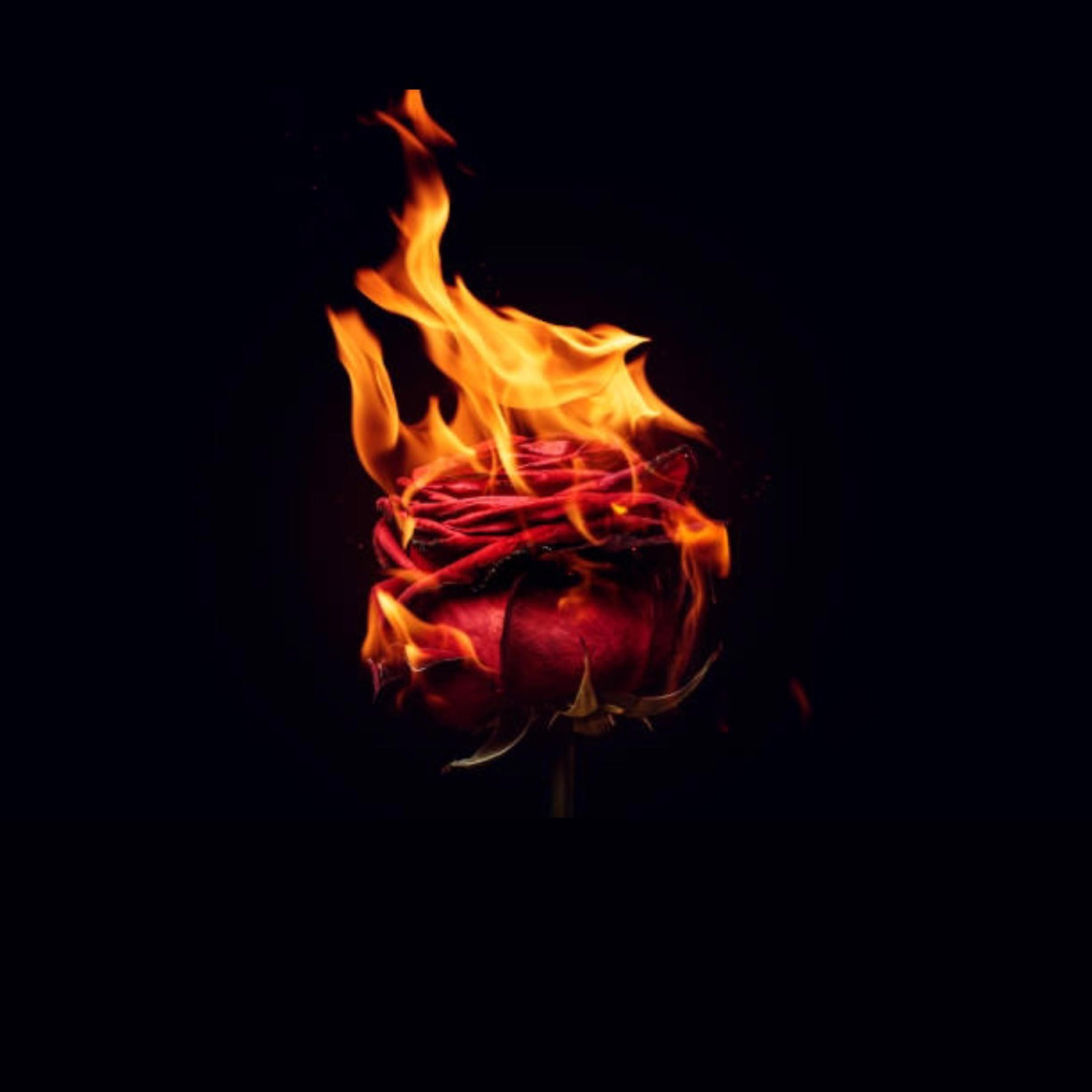 ObaidaPro - burning Rose