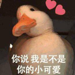 ❤❤甜甜甜甜的說唱情話❤❤