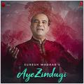 Aye Zindagi - Single