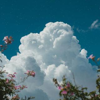 [电音&人声]洗脑神曲：震撼的电音人声！