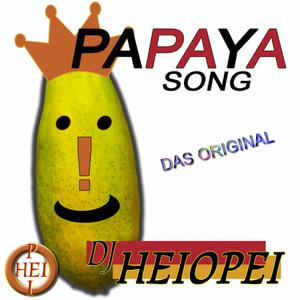 Papaya Song - DJ Heiopei (SE karaoke) 带和声伴奏