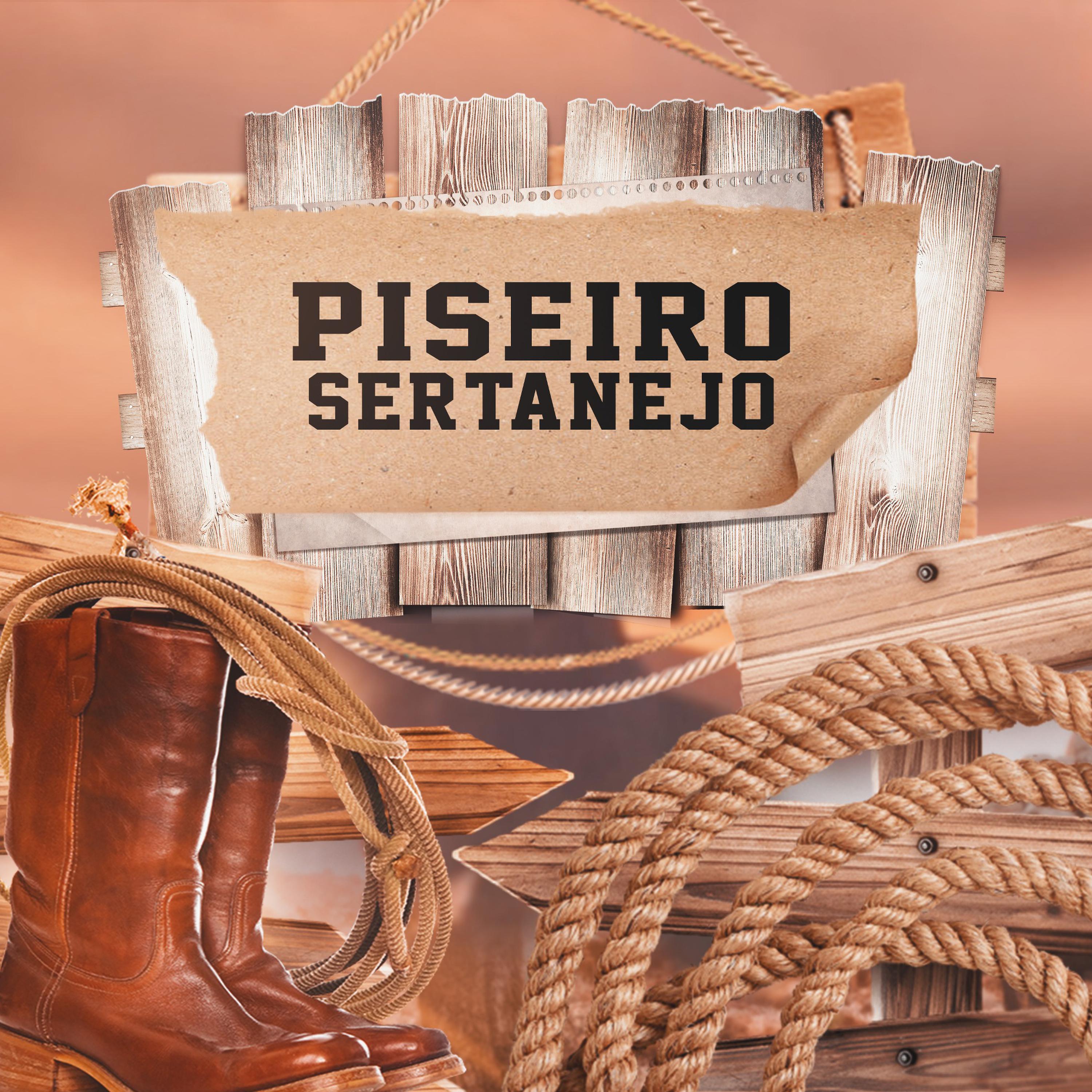 Piseiro Sertanejo