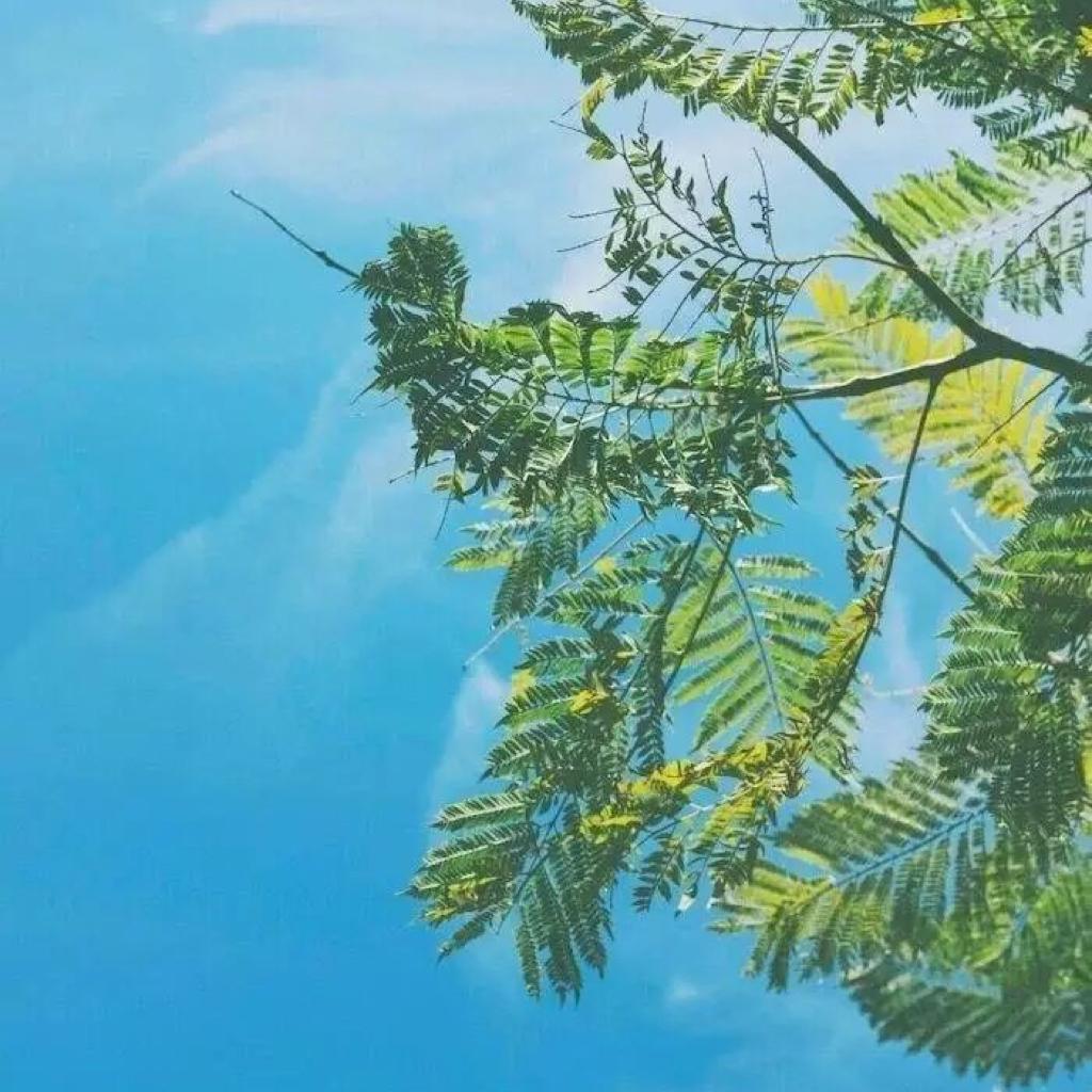 工作日的早晨听这个唤醒活力