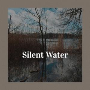 Silent Water Marks （升3半音）