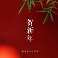 贺新年