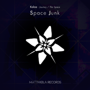 Space Junk - Single