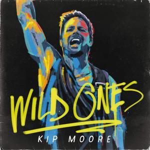 Kip Moore - I'm To Blame （降4半音）