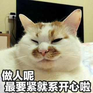 轻快小俏皮，请不要沉迷！！