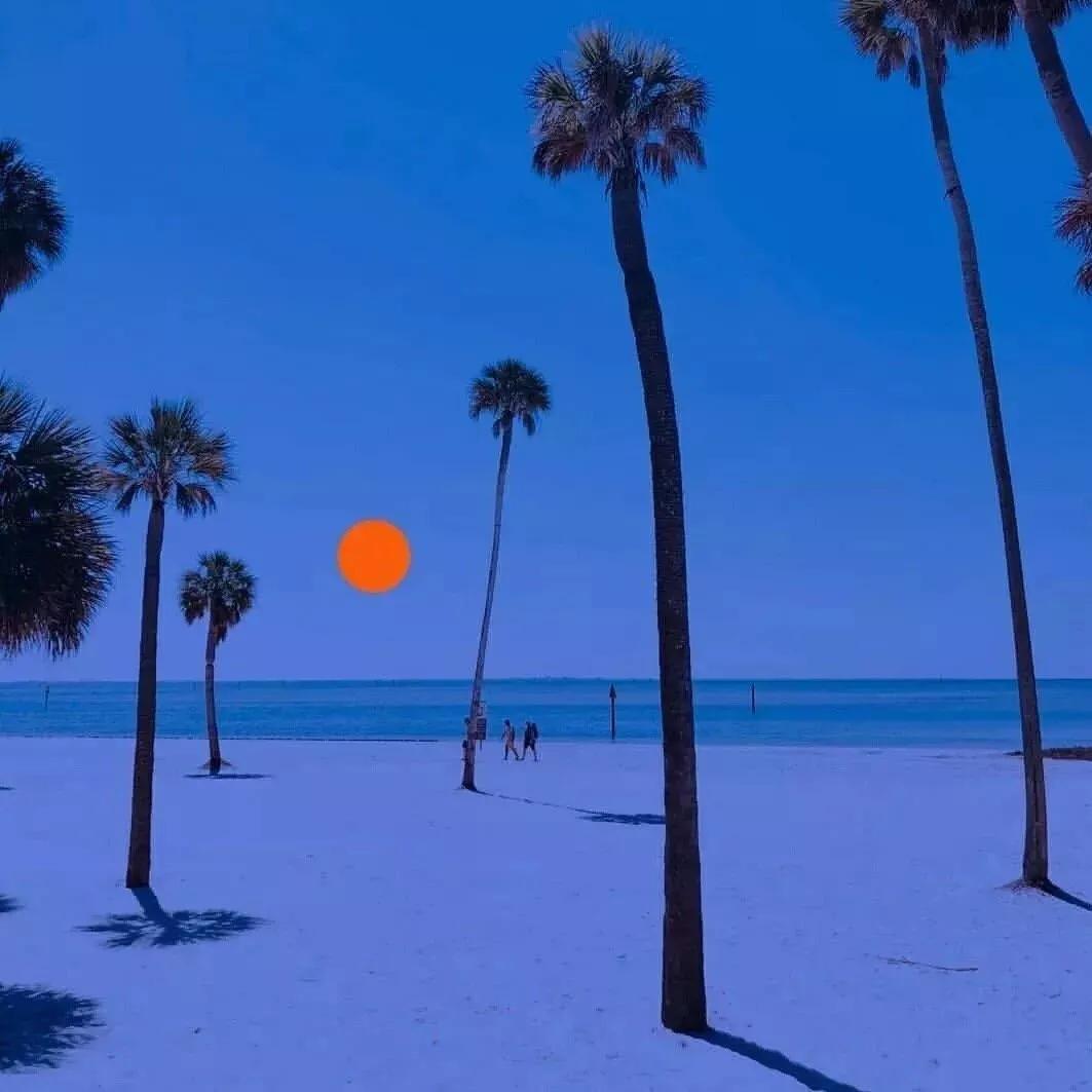 日不落（抖音弹唱）