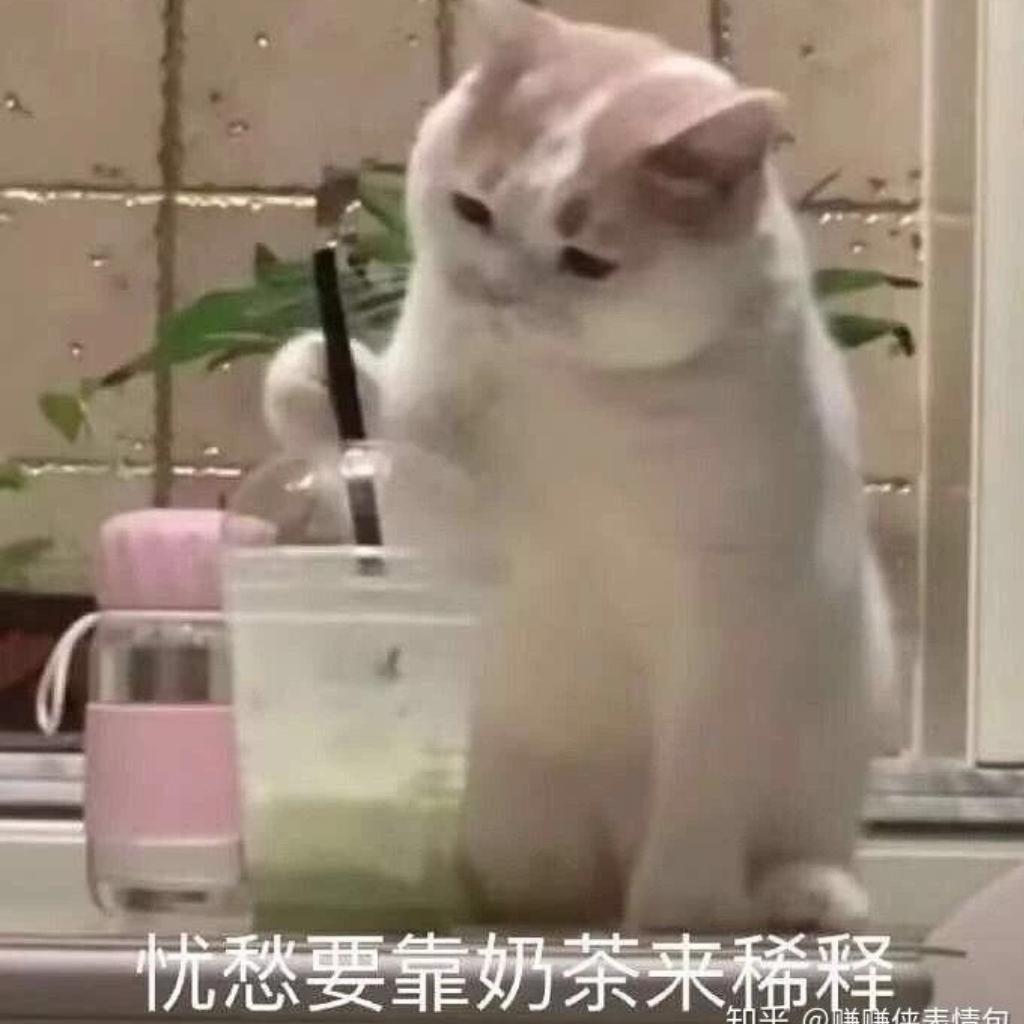 听完这个歌单会变甜妹嘛~