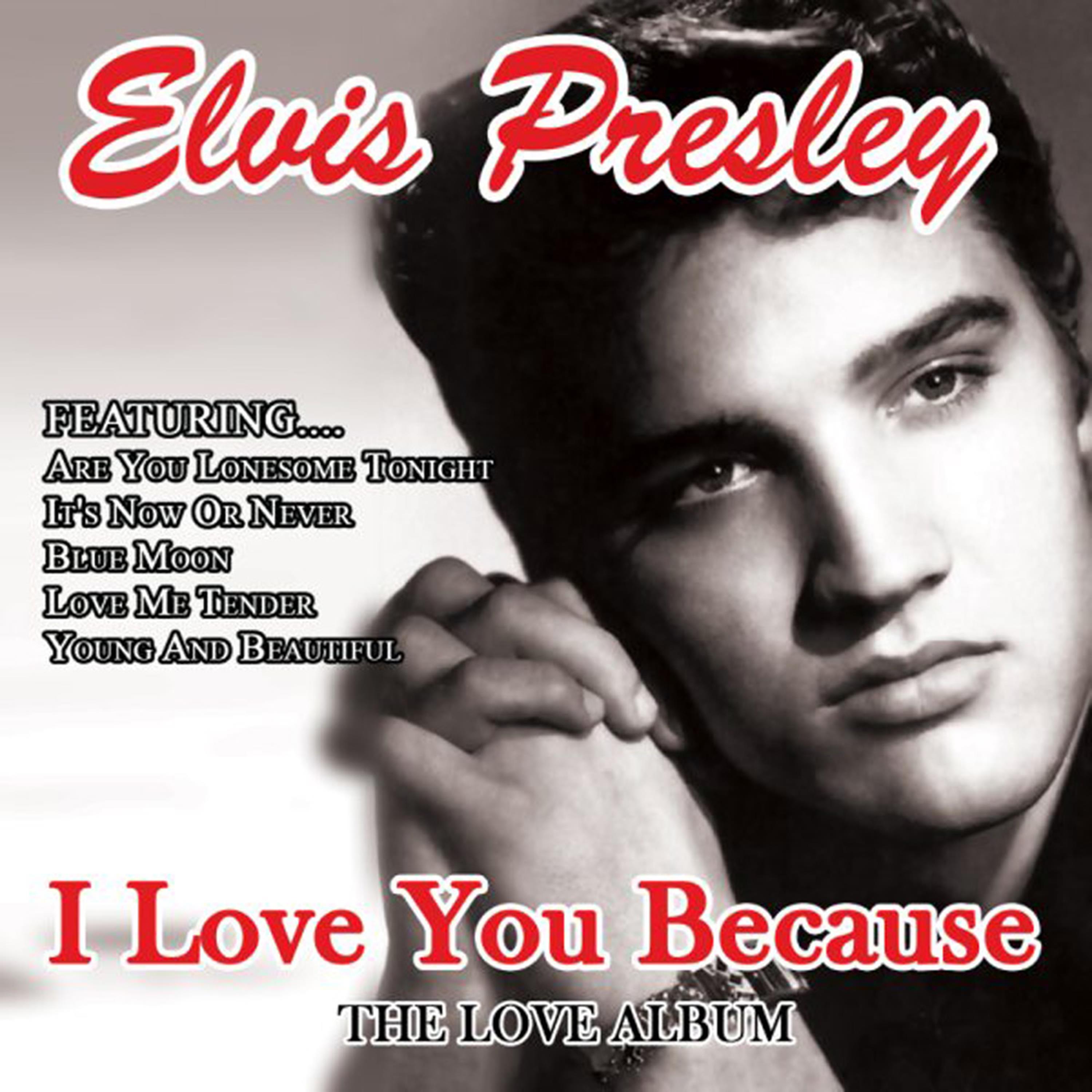 I Love You Because - The Love Album
