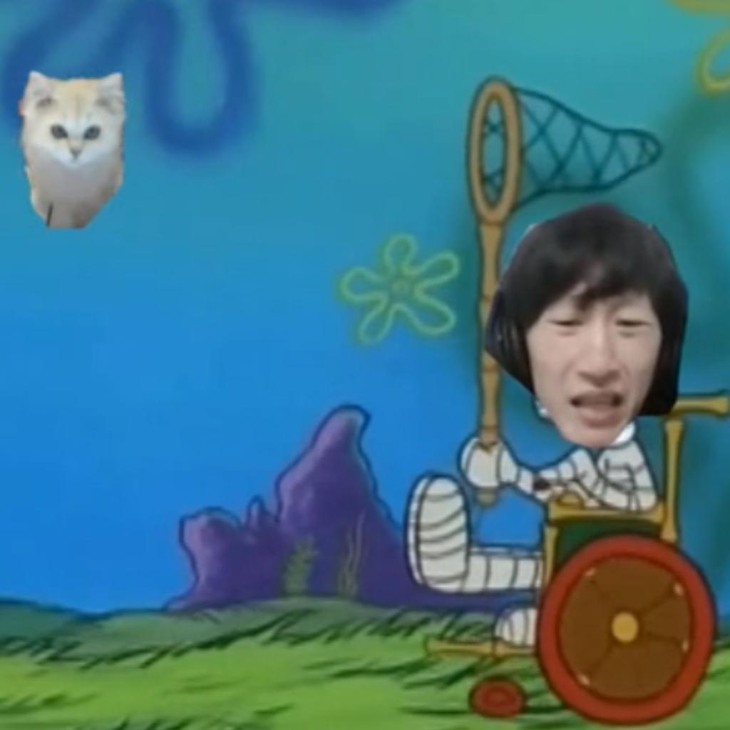 爱抓水母的OTTO!