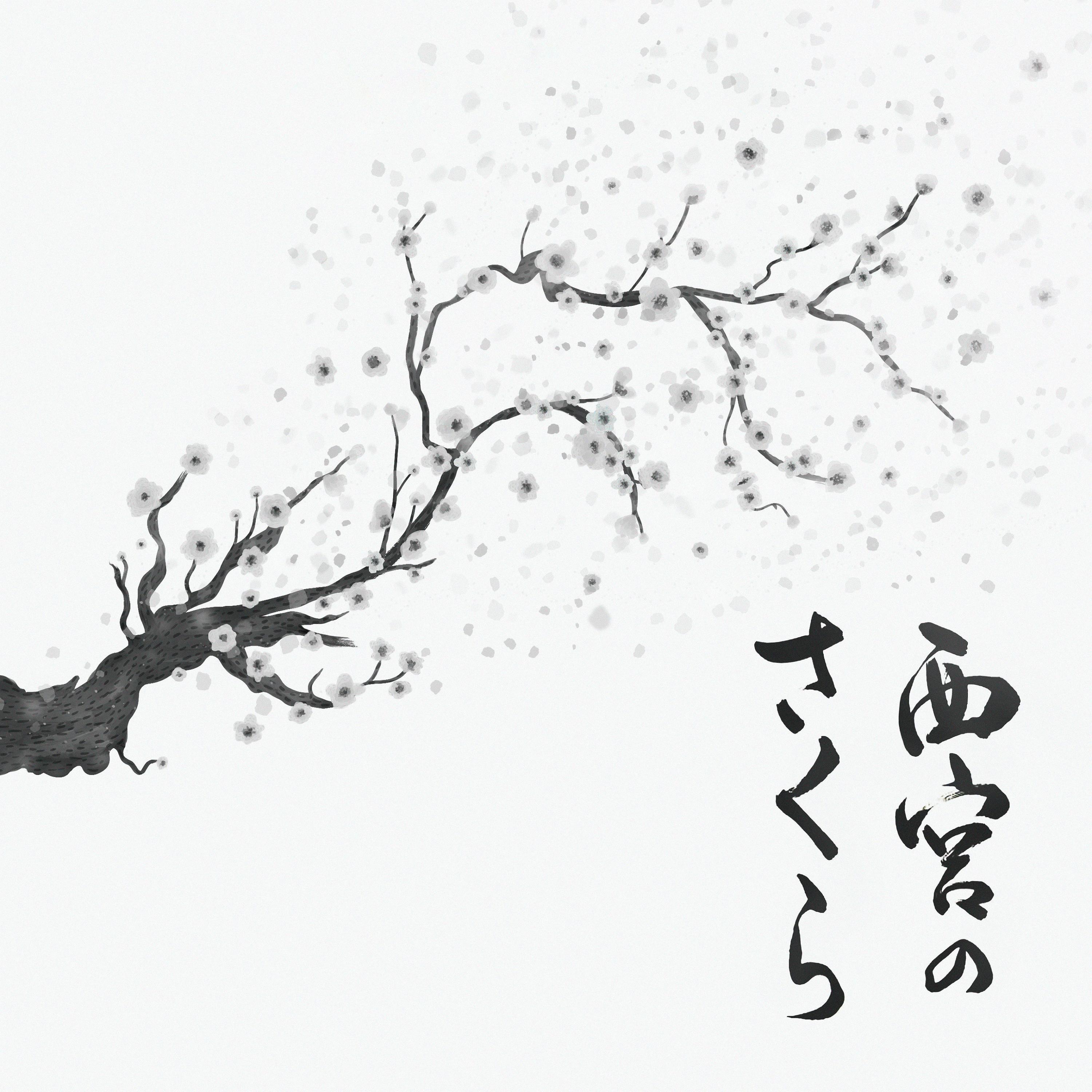 Hojas de sakura de nishinomiya
