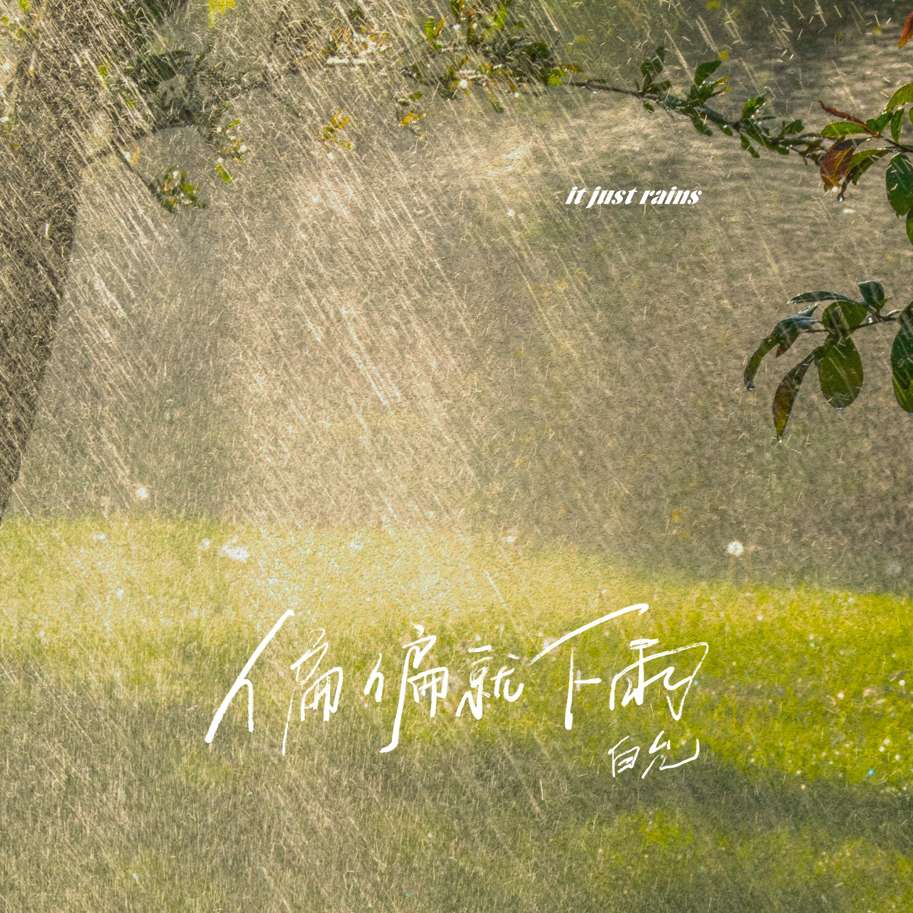偏偏就下雨